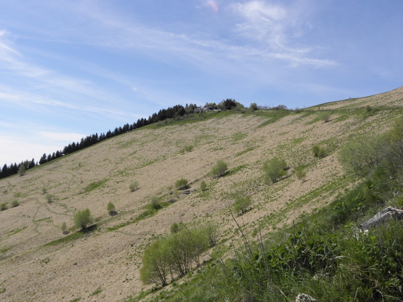 54661-copia-di-robbs-106.jpg