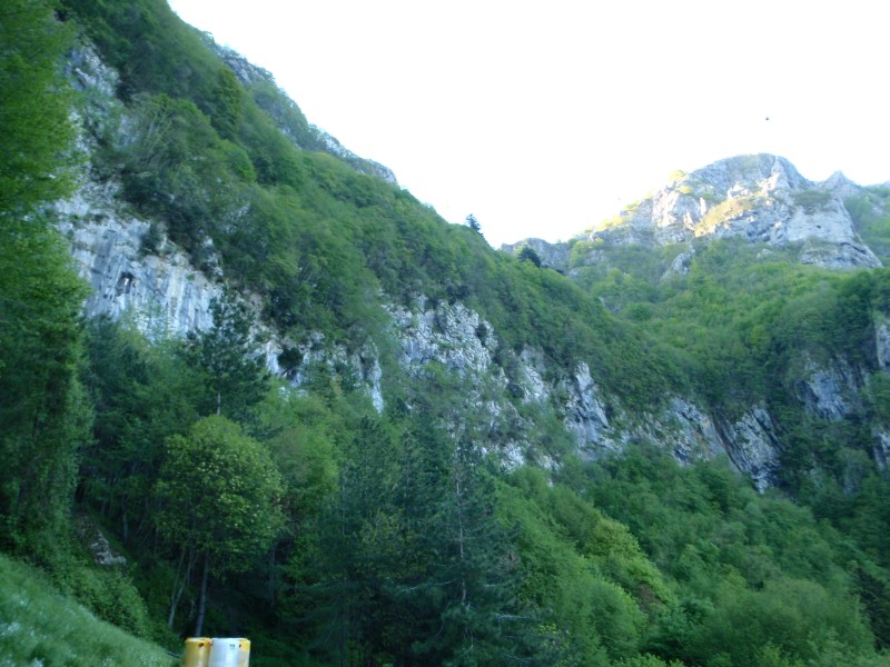 54967-6.jpg
