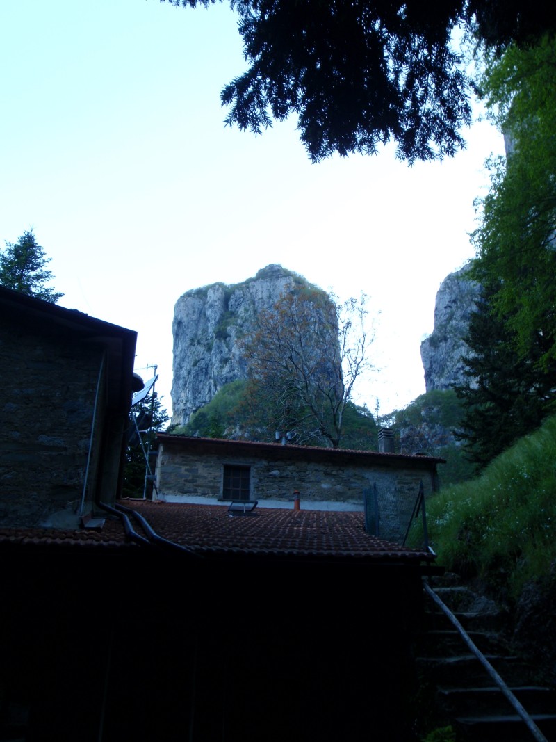 54969-5.jpg