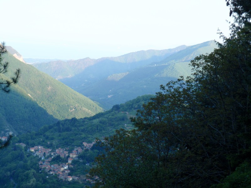 54970-7.jpg