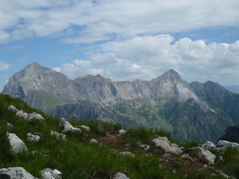 54976-14.jpg