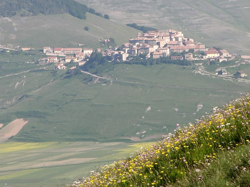 55251-coppa06.jpg