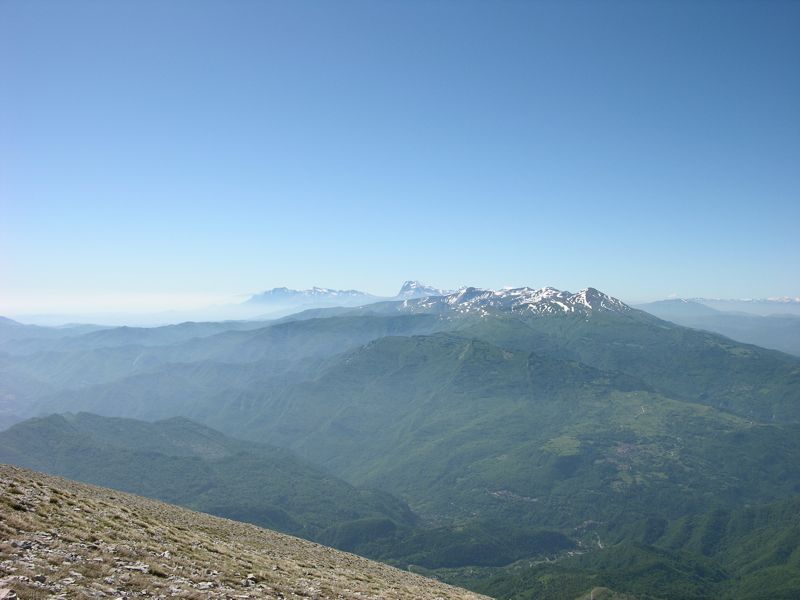 55288-coppa23.jpg