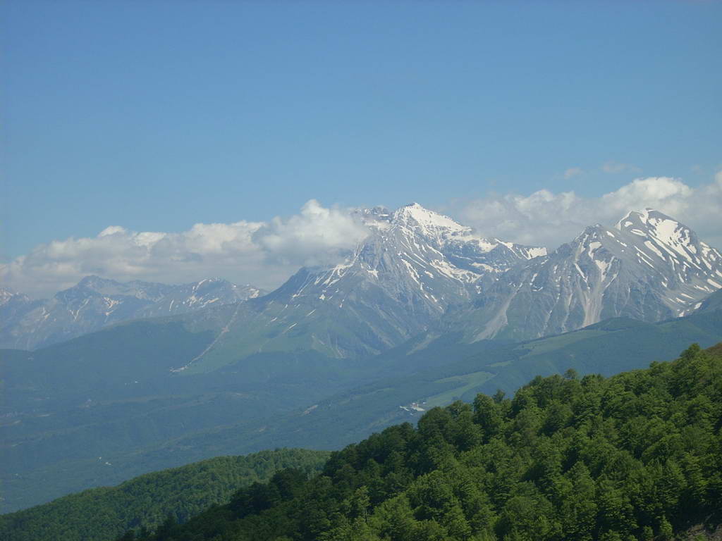 55498-10.jpg