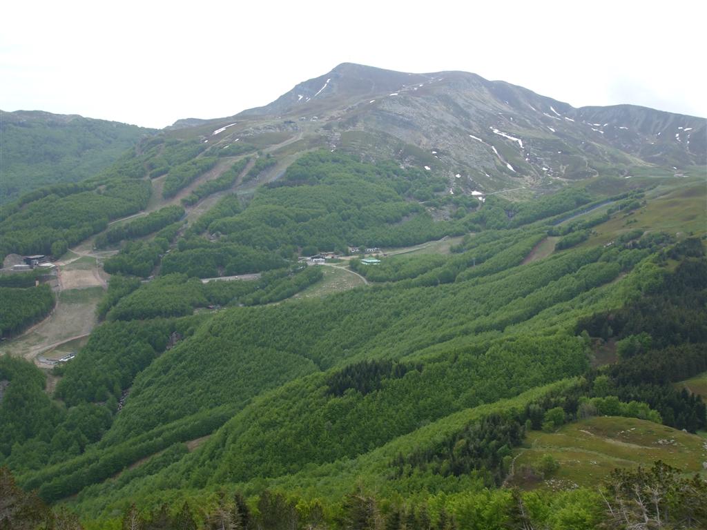 55521-foto-030-medium.jpg