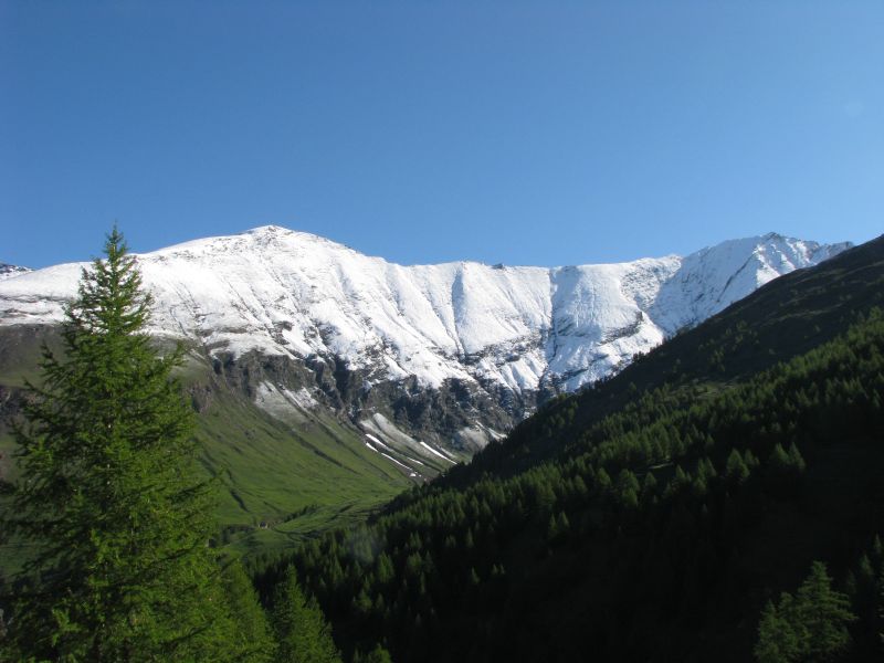 55530-img7521.jpg