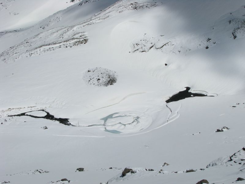 55543-img7561.jpg