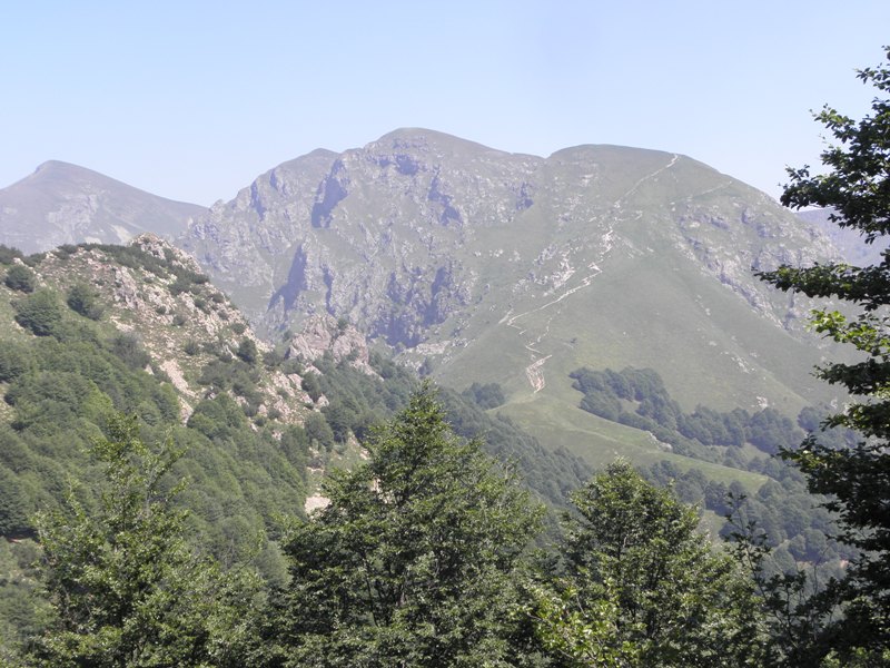 55832-copia-di-robbs-032.jpg