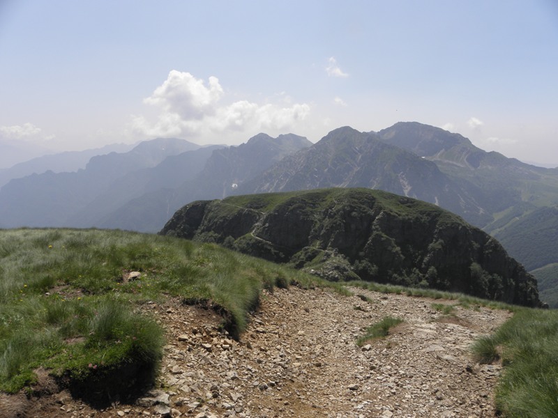 55834-copia-di-robbs-037.jpg
