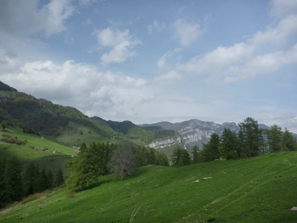 55920-13.jpg