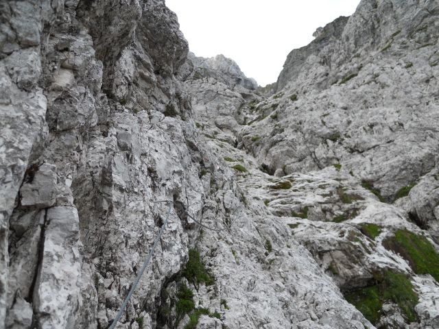 56116-cavi-nuovi.jpg