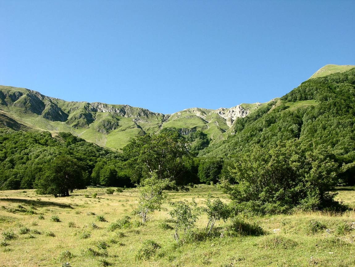 56138-dscn8910.jpg