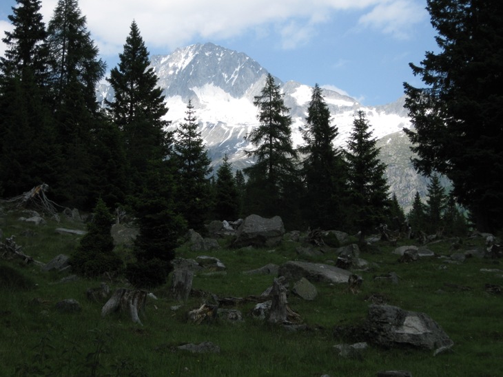 56284-4-val-di-fumo-2010-contrasti.jpg