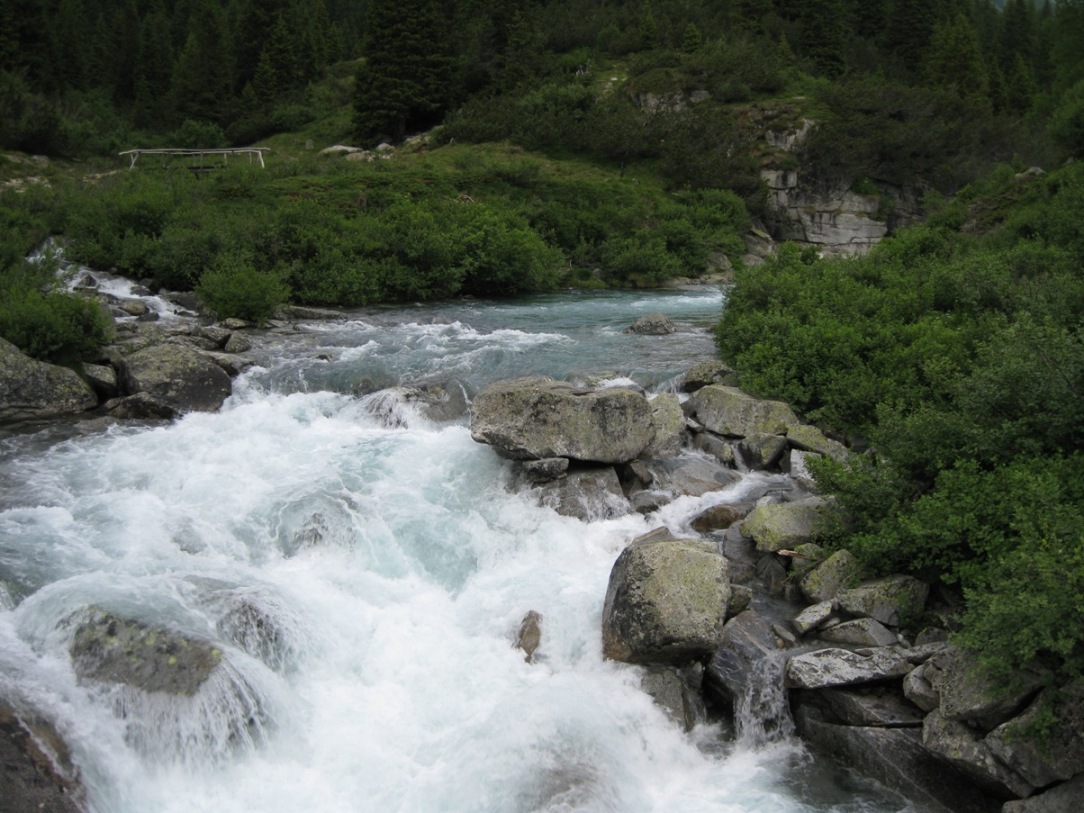 56286-val-di-fumo-2010-015.jpg