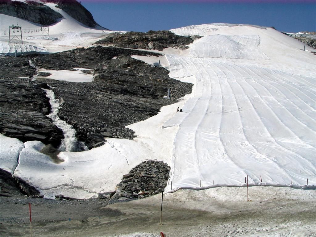 56411-coperta-corta.jpg