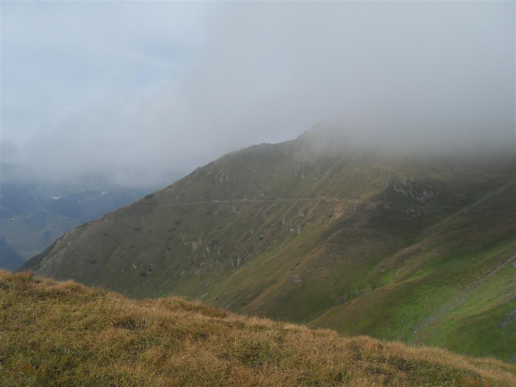 56849-sdc13078.jpg