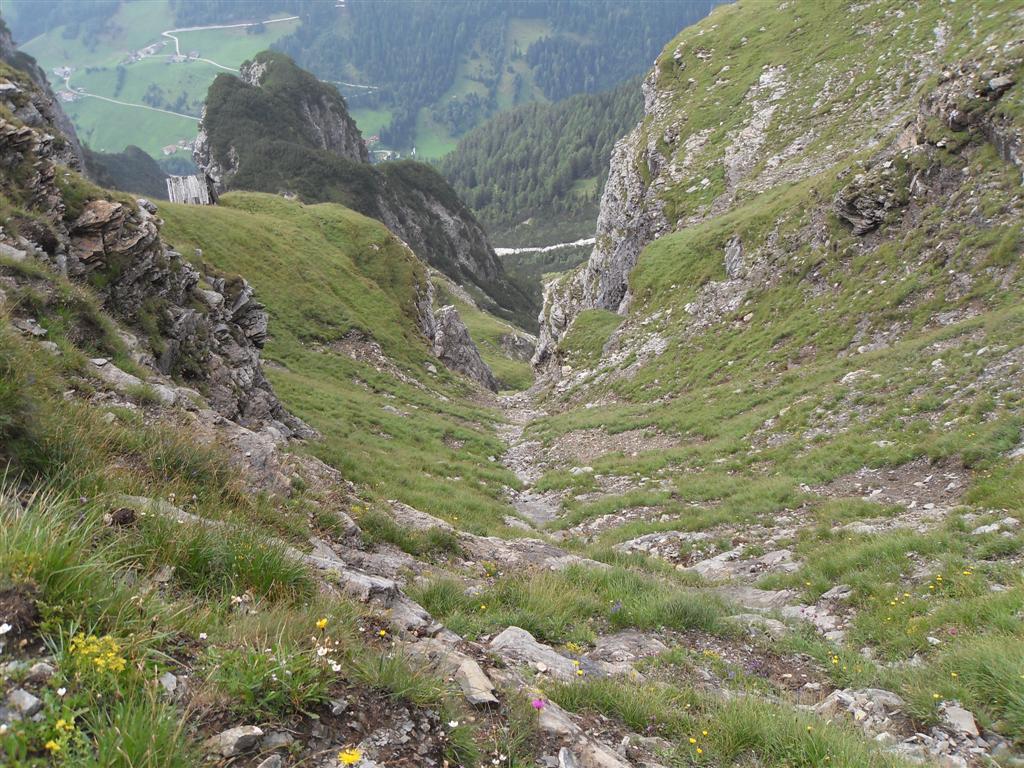 56857-sdc13114.jpg