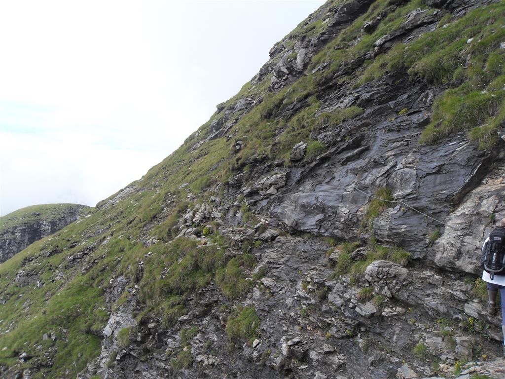 56860-sdc13117.jpg