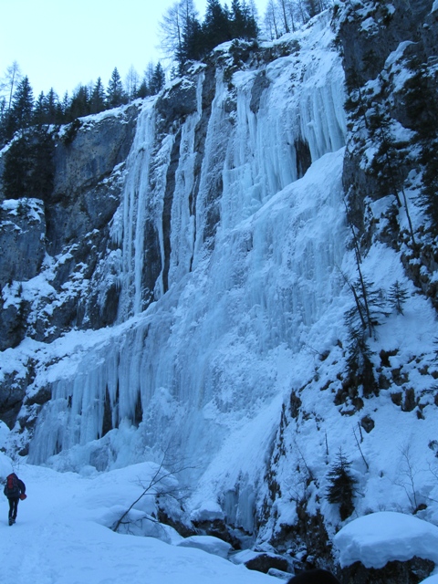 57556-img0182.jpg
