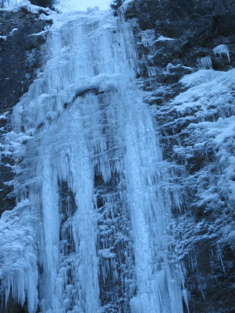 57559-img0188.jpg