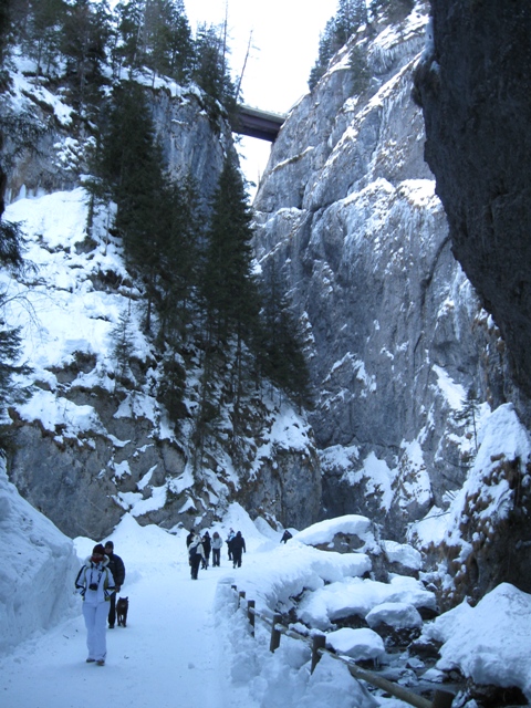 57561-img0176.jpg