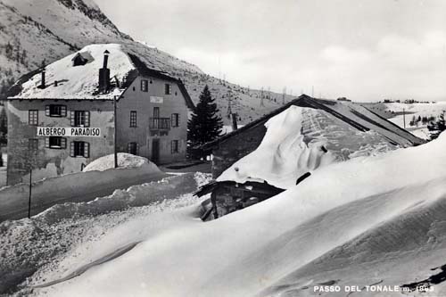58560-cartonila-tonale.jpg