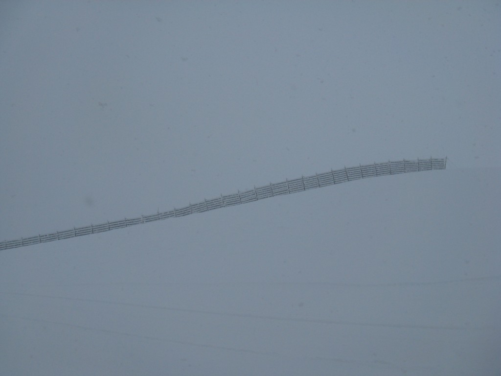 58751-img1655.jpg