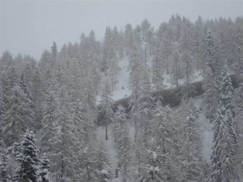 58972-campiglio-003.jpg