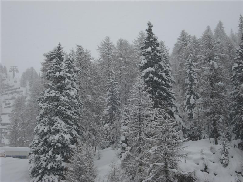 58973-campiglio-004.jpg