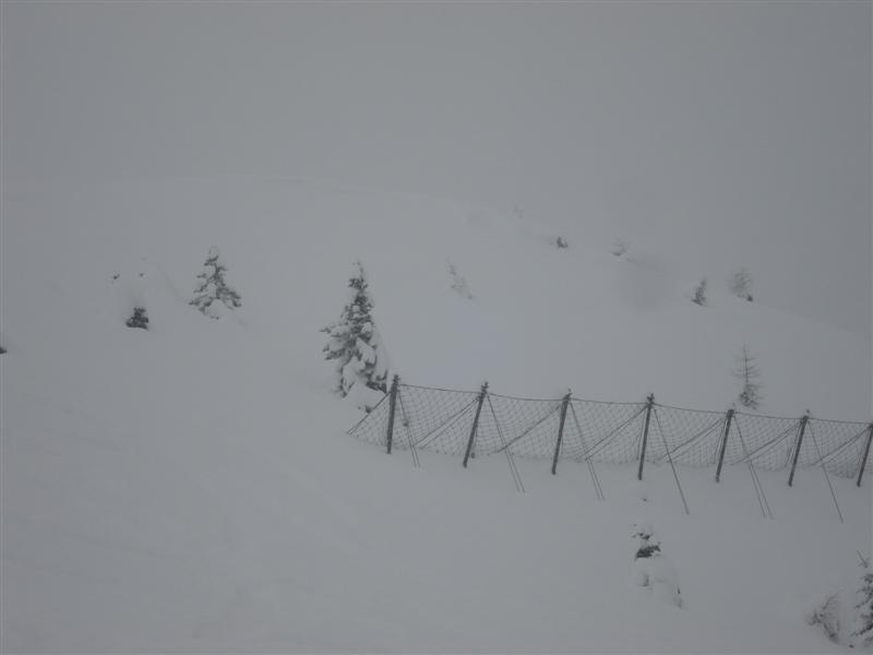 58974-campiglio-009.jpg