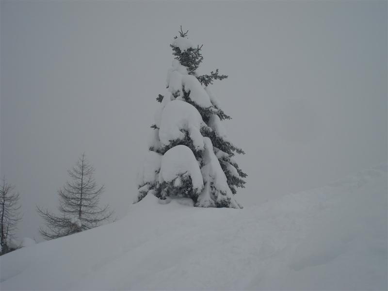 58975-campiglio-015.jpg