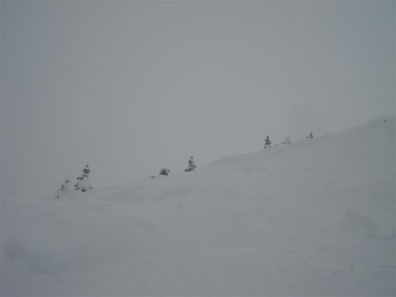 58976-campiglio-016.jpg