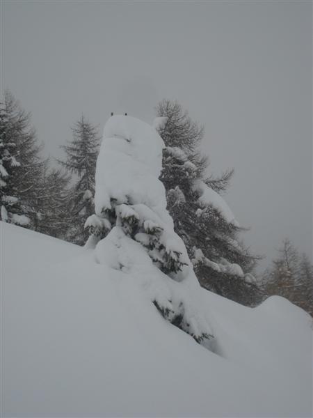 58977-campiglio-017.jpg