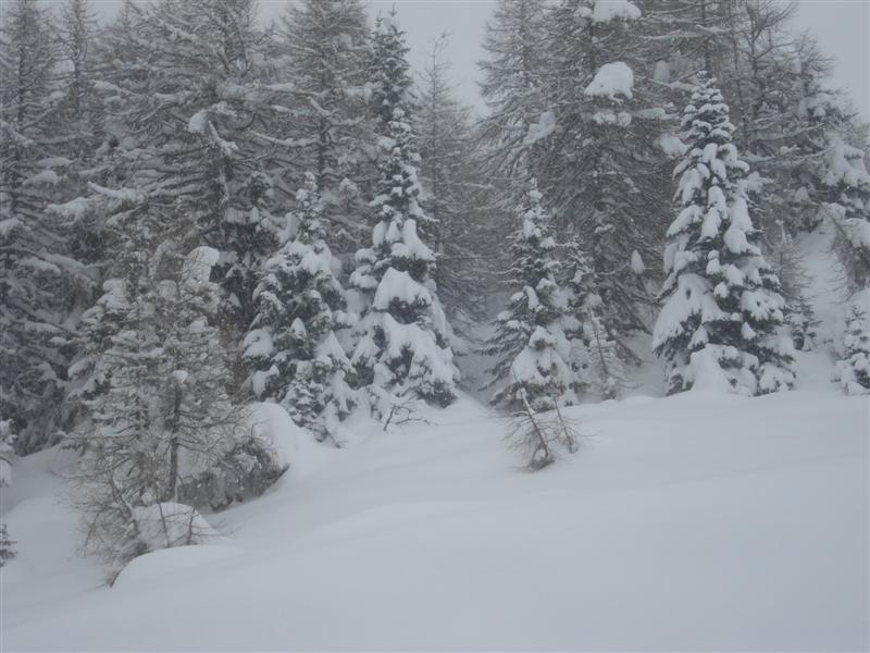 58978-campiglio-018.jpg