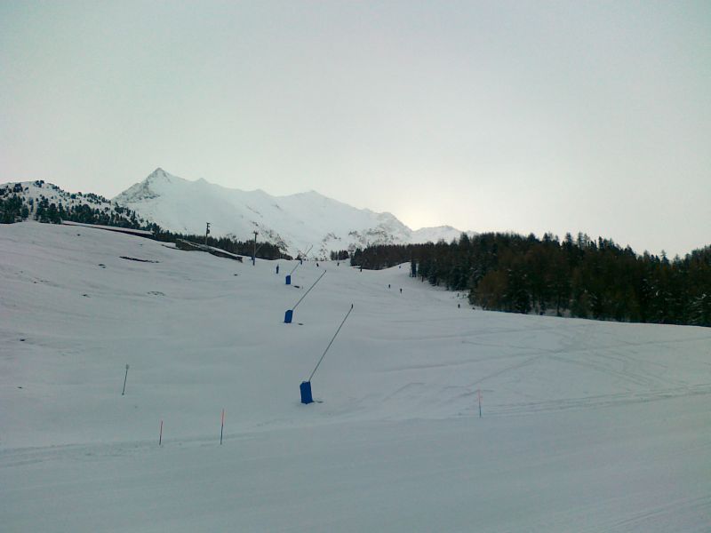 58994-27112010039.jpg