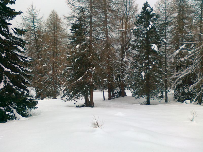 58997-27112010043.jpg