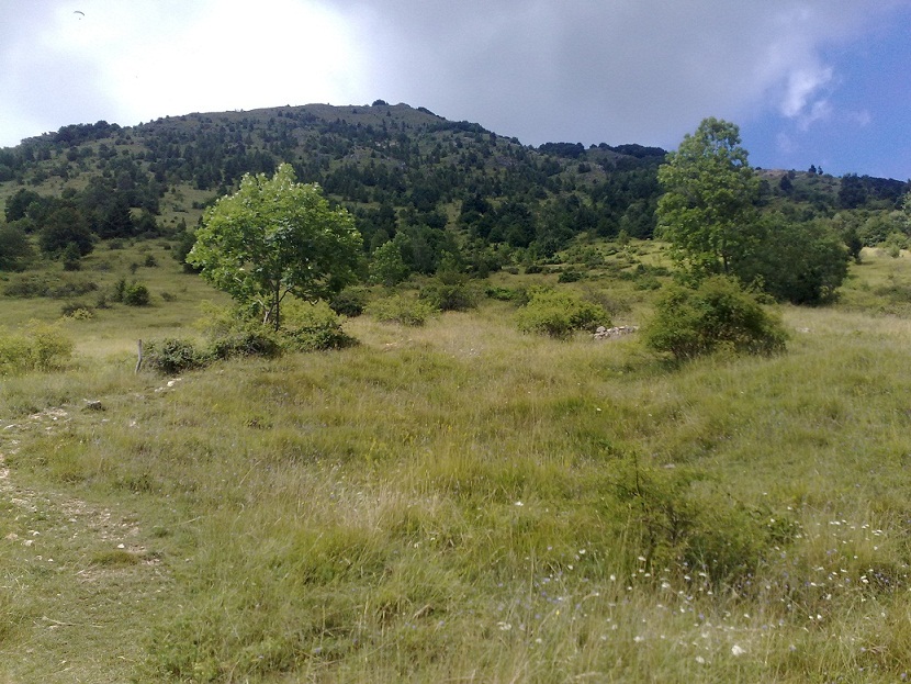 59088-31072010218piccola.jpg