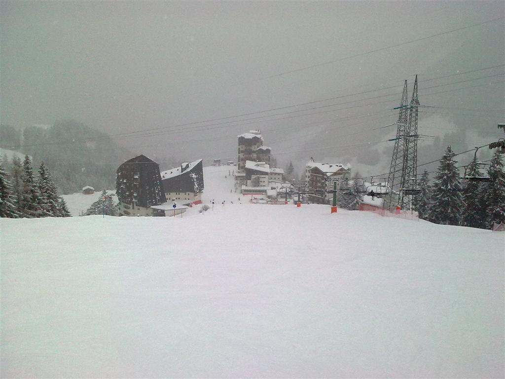 59311-copia-di-immag0058-medium.jpg