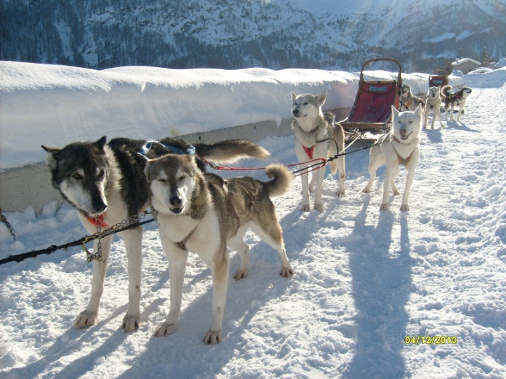 59341-husky-village-bormio-dicembre-2010-002-x-skiforum.jpg