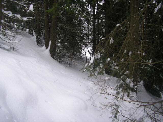 59359-immagine-117.jpg
