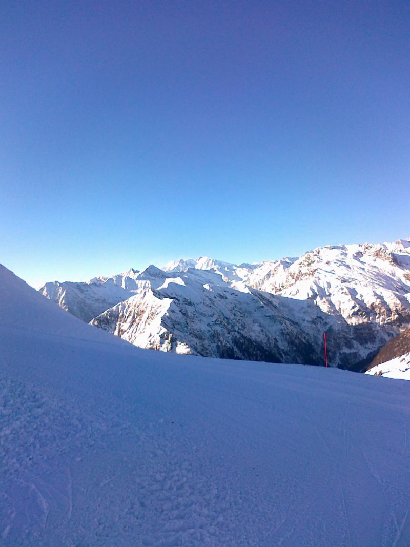 59528-16122010084.jpg