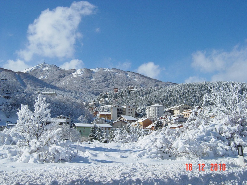 59623-dsc04331rid.jpg