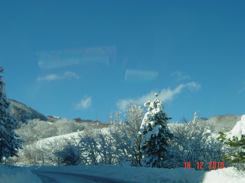 59625-dsc04336rid.jpg