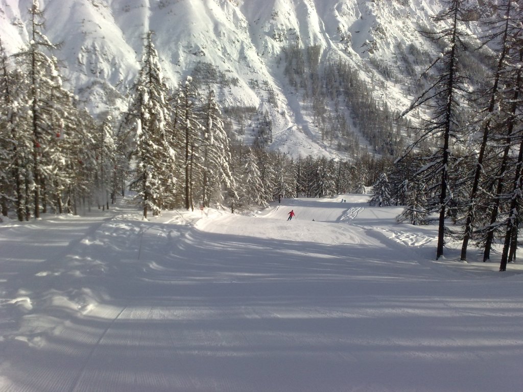 59843-27122010367.jpg