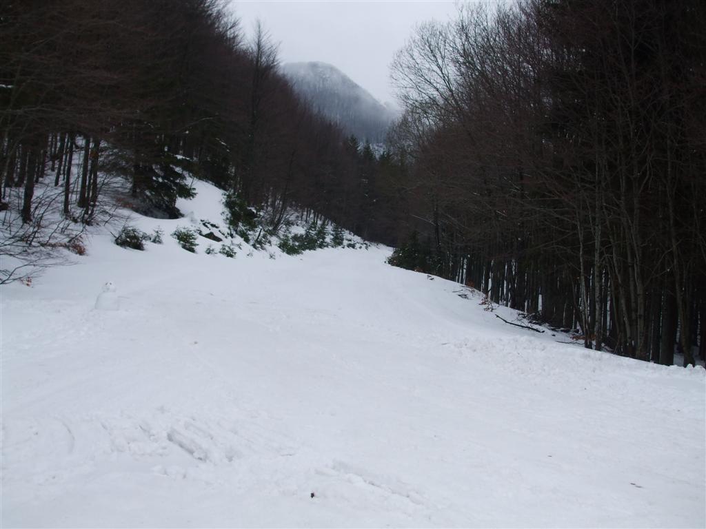 60026-foto-041-medium.jpg