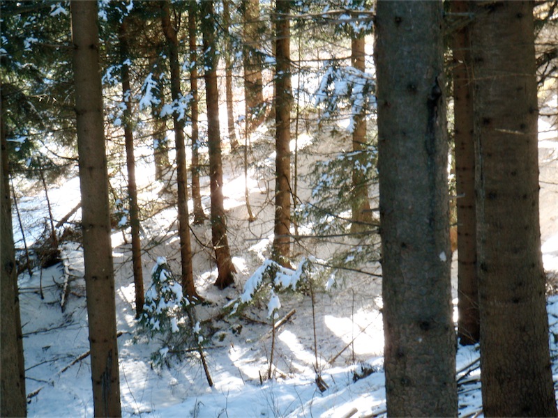 60295-scaled-image.jpg