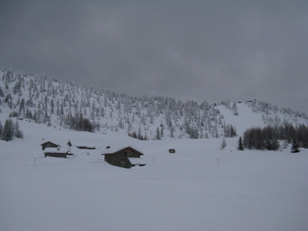 60546-img0130.jpg