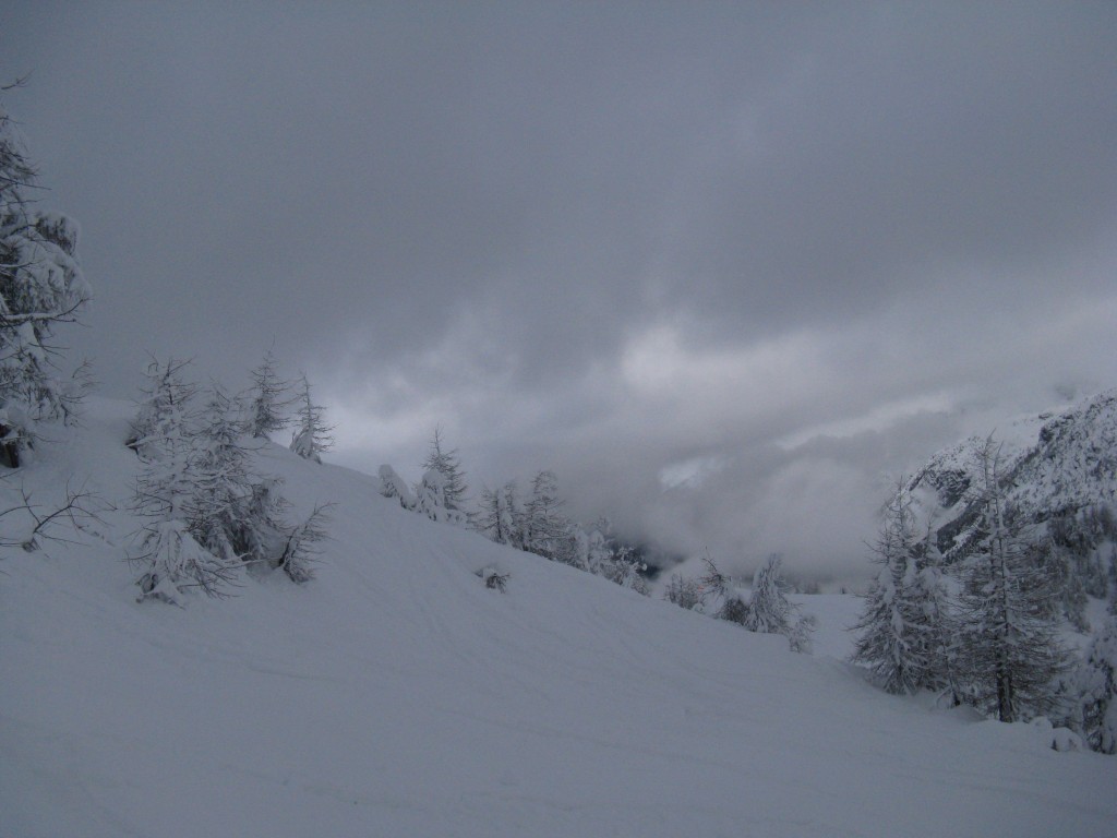 60549-img0134.jpg