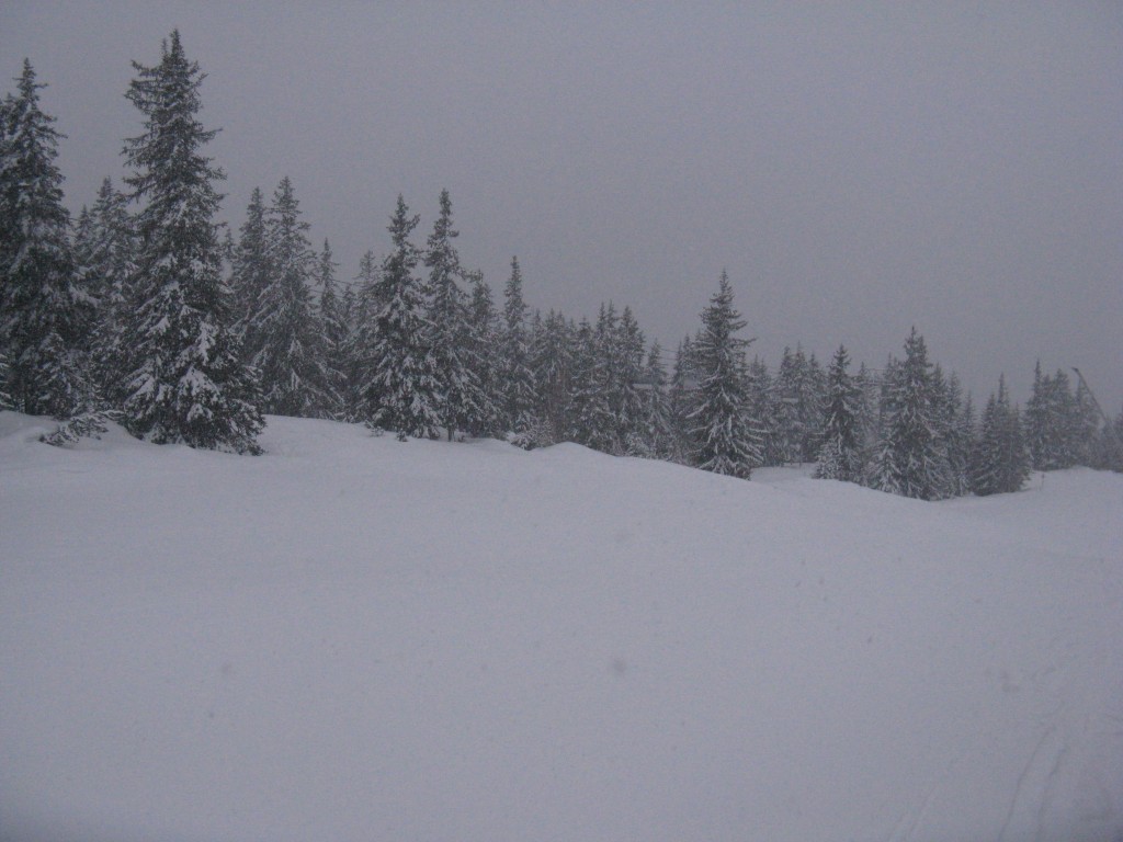 60553-img0140.jpg