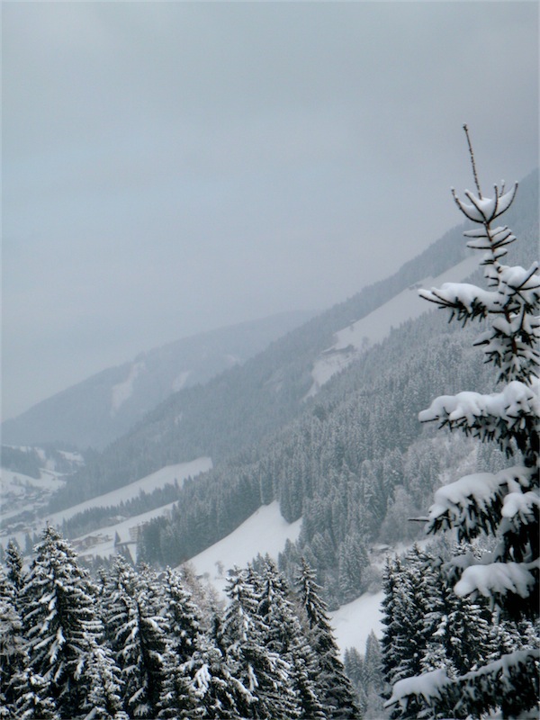 61128-scaled-image-1.jpg